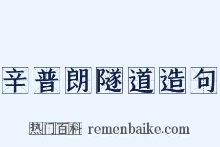 辛普朗隧道造句是什么意思的图片